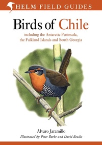 Abbildung von: Birds of Chile - Helm