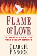 Cover: Flame of Love - IVP Academic