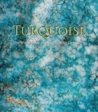 Enlarge image Cover: Turquoise - Simon + Schuster LLC