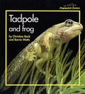Cover: Stopwatch Big Book: Tadpole and Frog - A & C Black Publishers Ltd