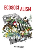 Cover: Ecosocialism - Haymarket Books