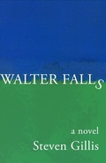 Cover: Walter Falls - Dzanc Books