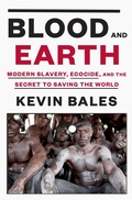 Cover: Blood and Earth - Spiegel & Grau