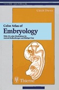 Bild: Color Atlas of Embryology - Thieme