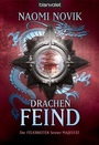 Cover: Drachenfeind - Blanvalet
