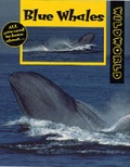 Cover: Blue Whales - A & C Black (Childrens books)