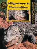 Cover: Alligators and Crocodiles - A & C Black Publishers Ltd
