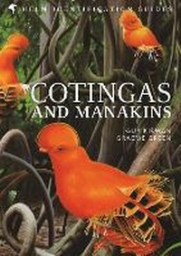 Abbildung von: Cotingas and Manakins - Helm