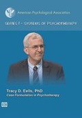 Cover: Case Formulation in Psychotherapy - American Psychological Association