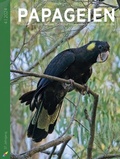 Abbildung von: Papageien - Arndt-Verlag