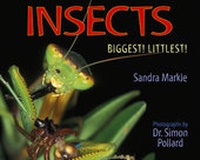 Enlarge image Cover: Insects - Boyds Mills Press