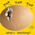 Cover: Tap, Tap, Tap... What's Hatching? - Rourke Publishing