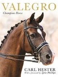 Cover: Valegro - Third Millennium Publishing