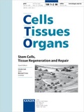Bild: Stem Cells, Tissue Regeneration and Repair - S. Karger