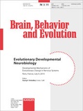 Bild: Evolutionary Developmental Neurobiology - S. Karger