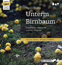 Bild vergrößern Bild: Unterm Birnbaum - Der Audio Verlag