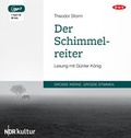 Cover: Der Schimmelreiter (1 mp3-CD) - Der Audio Verlag