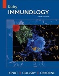 Cover: Kuby Immunology: International edition - W.H.Freeman & Co Ltd