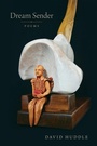 Cover: Dream Sender - Louisiana State University Press