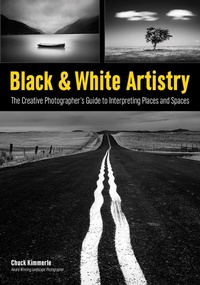 Abbildung von: Black & White Artistry - Amherst Media