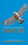 Cover: A Photographic Guide to North American Raptors - Helm