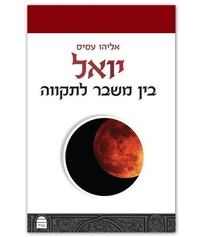 Enlarge image Cover: Yoel - Toby Publishing Ltd.