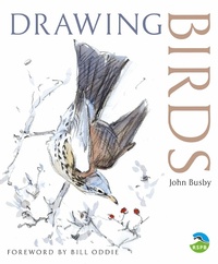Enlarge image Cover: Drawing Birds - Helm