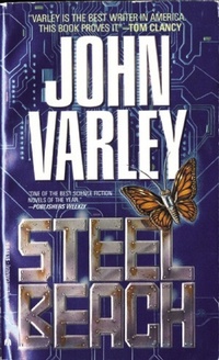 Enlarge image Cover: Steel Beach - Ace