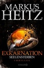 Cover: Exkarnation - Seelensterben - Knaur