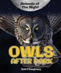 Cover: Owls After Dark - Enslow Publishing