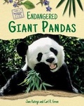 Cover: Endangered Giant Pandas - Enslow Publishing