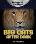Cover: Big Cats After Dark - Enslow Publishing