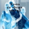Cover: Torn - Lulu.com