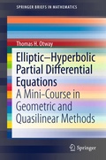 Bild: Elliptic-Hyperbolic Partial Differential Equations - Springer