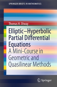 Bild vergrößern Bild: Elliptic-Hyperbolic Partial Differential Equations - Springer