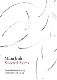 Enlarge image Cover: Selected Poems - Dalkey Archive Press