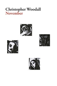 Enlarge image Cover: November - Dalkey Archive Press