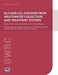 Cover: N2O and CH4 Emission from Wastewater Collection and Treatment Systems - IWA Publishing