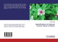 Cover: Identification of Internal Control Genes in Plants - LAP Lambert Academic Publishing