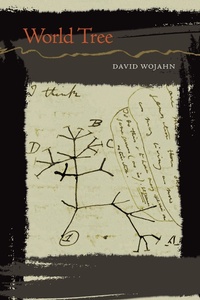 Enlarge image Cover: World Tree - NYU Press