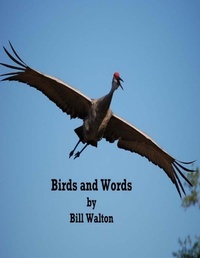 Enlarge image Cover: Birds and Words - Lulu.com