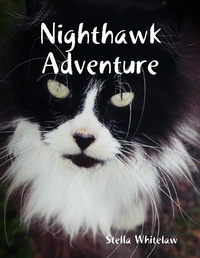 Enlarge image Cover: Nighthawk Adventure - Lulu.com