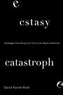 Cover: Ecstasy, Catastrophe - State University of New York Press