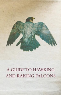 Abbildung von: A Guide to Hawking and Raising Falcons - With Chapters on the Language of Hawking, Short Winged Hawks and Hunting with the Gyrfalcon - Read Books Ltd.