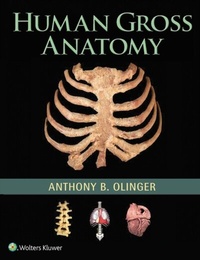 Abbildung von: Human Gross Anatomy - WOLTERS KLUWER HEALTH