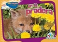 Cover: En La Pradera - Rourke Educational Media
