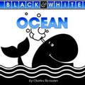 Cover: Ocean - Bdbk - Rourke Educational Media