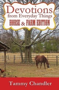 Cover: Devotions from Everyday Things - WordCrafts Press