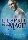 Cover: L'Esprit de la Magie - Dreamspinner Press