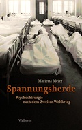 Cover: Spannungsherde - Wallstein